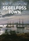 Image for Segelfoss Town