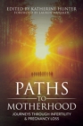 Image for Paths to Motherhood