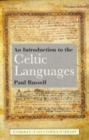 Image for An Introduction to the Celtic Languages