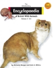 Image for Introductory Encyclopaedia of British Wild Animals