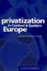 Image for Privatization in Central and Eastern Europe