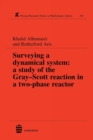 Image for Surveying a Dynamical System : A Study of the Gray-Scott Reaction in a Two-Phase Reactor