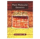 Image for Plant molecular genetics