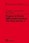 Image for Progress in Partial Differential Equations : The Metz Surveys 3