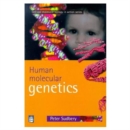 Image for Human molecular genetics