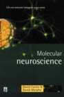 Image for Molecular Neuroscience
