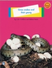 Image for Longman Book Project: Non-Fiction: Level A: Animals Topic: Grass Snakes and Their Young : Small Book