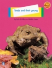 Image for Toads and their young Non-Fiction 1