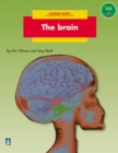 Image for The brain : Level B : Non-fiction : The Brain