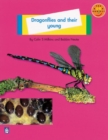 Image for Dragonflies and their young
