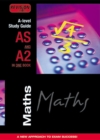 Image for Maths  : A-level study guide