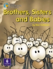 Image for Brothers, Sisters and Babies! Year 2