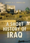 Image for A short history of Iraq  : from 636 to the present
