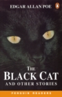 Image for The black cat and other stories