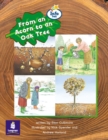 Image for From an acorn to an oak tree : Info Trail Emergent : Year 2 : From an Acorn to an Oak Tree