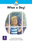 Image for Story Street : Step 2 : What a Day!