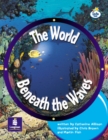 Image for LILA:IT:Independent Plus:The World Beneath the Waves Info Trail Independent Plus