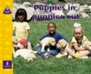 Image for Puppies in, Puppies out