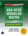 Image for AQA Modular GCSE Maths