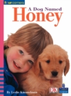 Image for Four Corners: A Dog Named Honey (Pack of Six)