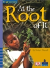 Image for Four Corners: At the Root of it (Pack of Six)