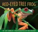 Image for Red-eyed Tree Frog