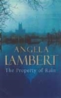 Image for The Property of Rain