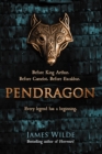 Image for Pendragon  : a novel of the Dark Age