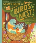 Image for What&#39;s Inside A Bird&#39;s Nest?