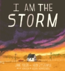 Image for I am the storm