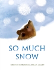 Image for So much snow