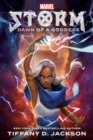 Image for Storm: Dawn of a Goddess