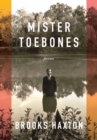 Image for Mister Toebones: poems