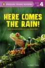 Image for Here comes the rain!  : can animals predict the weather?