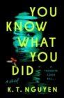 Image for You Know What You Did : A Novel