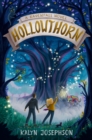 Image for Hollowthorn: A Ravenfall Novel