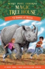 Image for Rhinos at recess