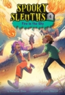 Image for Spooky Sleuths #4: Fire in the Sky