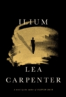 Image for Ilium : A novel