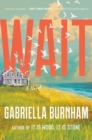 Image for Wait : A Novel