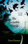 Image for The Invisible World : A Novel