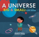 Image for A Universe Big &amp; Small
