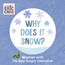 Image for Why Does It Snow?