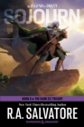 Image for Dungeons &amp; Dragons : Book 3 of The Dark Elf Trilogy