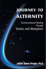 Image for Journey to Alternity