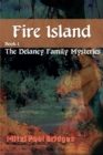 Image for Fire Island
