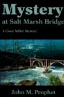 Image for Mystery at Salt Marsh Bridge