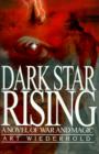 Image for Dark Star Rising : A Novel of War and Magic