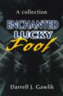 Image for Enchanted Lucky Fool