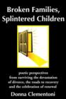 Image for Broken Families, Splintered Children : poetic perspectives from surviving the devastation of divorce, the roads to recovery and the celebration of renewal